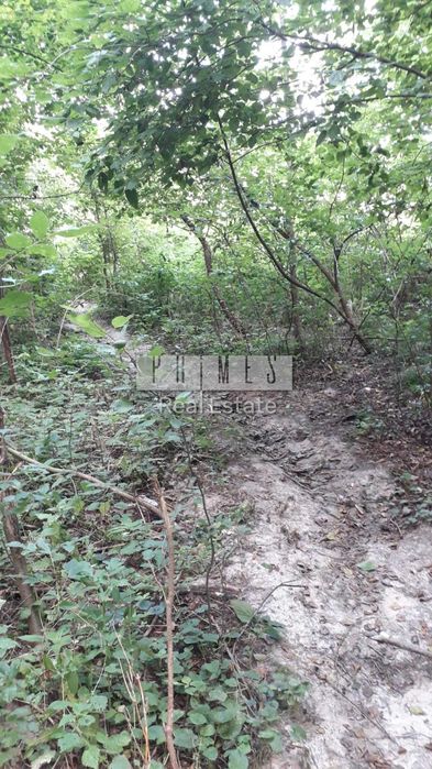 Продається земельна ділянка площею в Мархалівкі