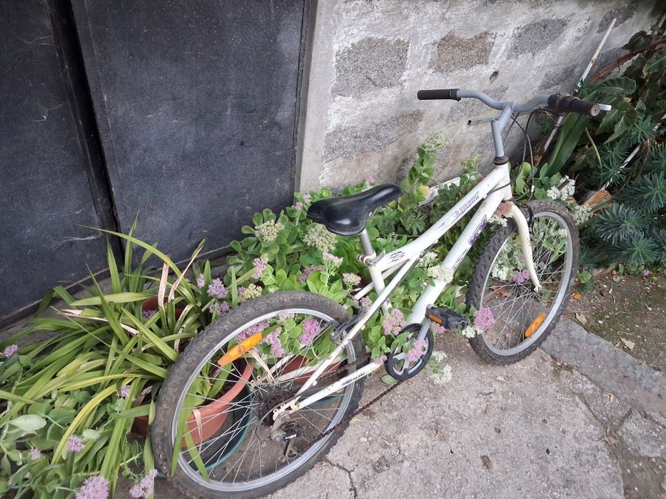 Bicicleta roda 24