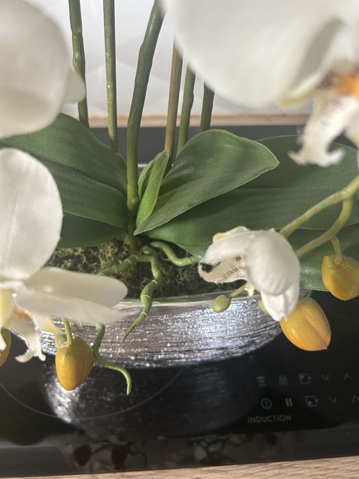 Piwknu storczyk sztuczny bialy kremowy 65 cm duży