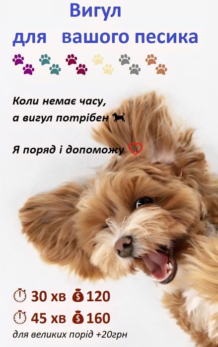 Індиввдуальне вигулювання собак м. Рівне