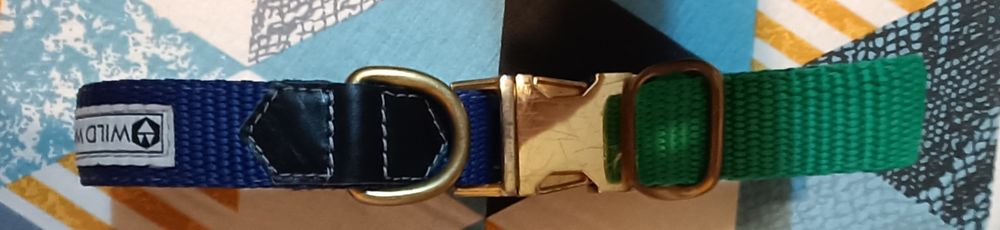 Obroża półzaciskowa 2,5 cm Wild Woof