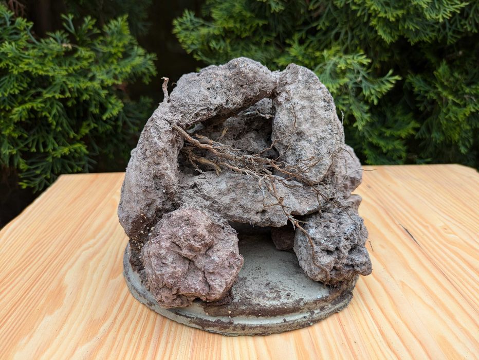 Grota z lawy wulkanicznej z korzeniem