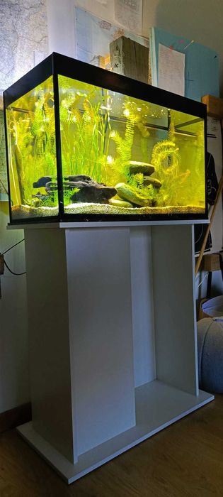 Vendo aquário com tampa, 130 litros