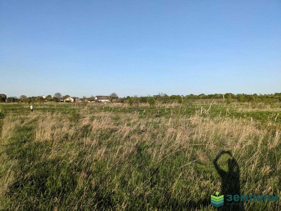 Земельна ділянка 11 сот с. Підлісся, під забудову (4)