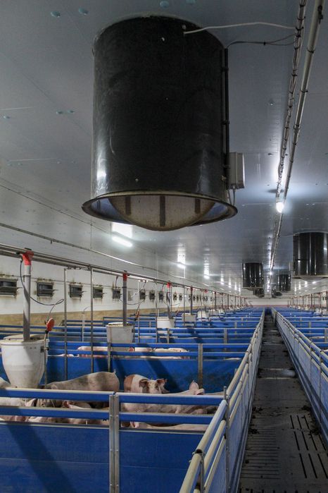 Ocieplenie do Obór Kurników Tuczarni Chlewni Hali Styrodur XPS AGRO