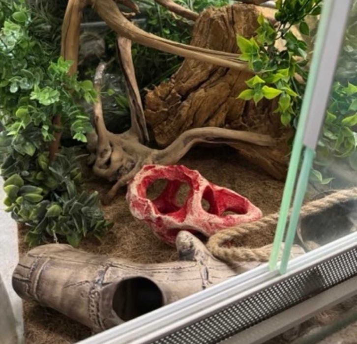 Декор в акваріум/тераріум