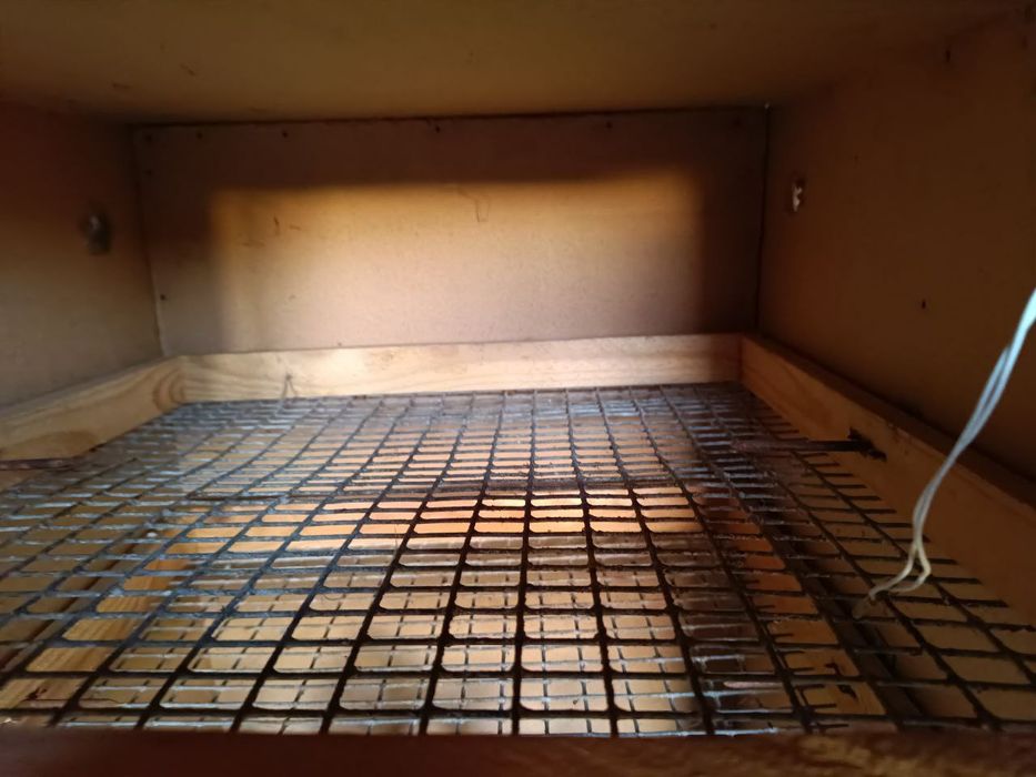 Інкубатор під ремонт