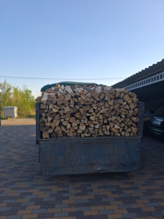 Продам Дрова колен БілаЦерква