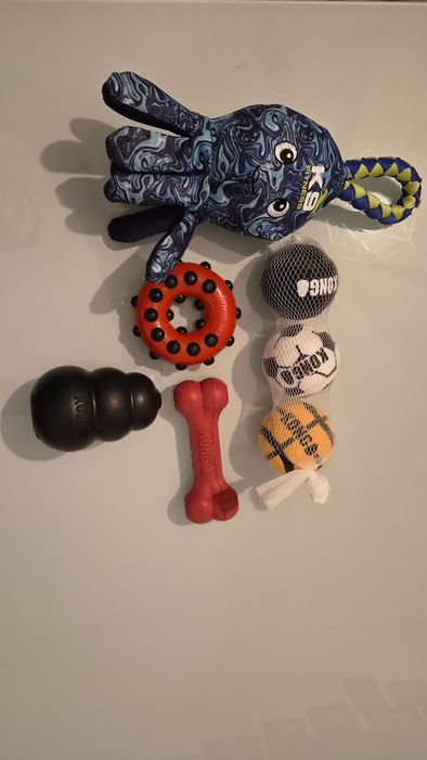 Lote de brinquedos para cão KONG