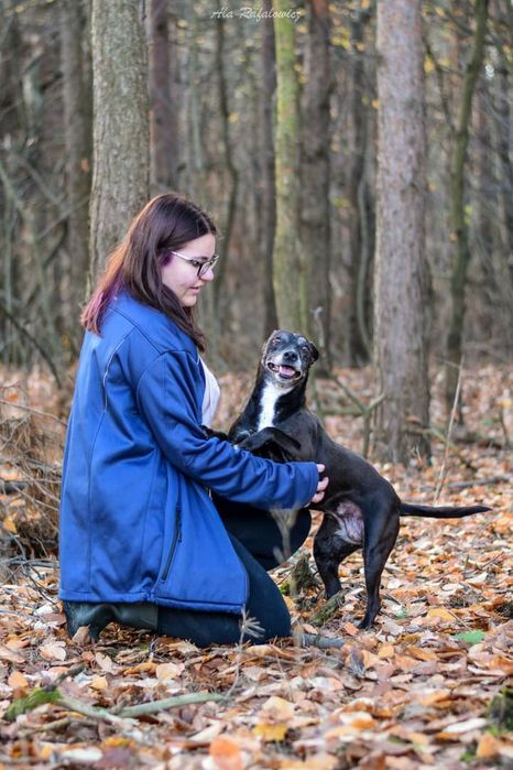 Zorka starsza sunia w której drzemie szczeniak! Pokochaj! Adoptuj!