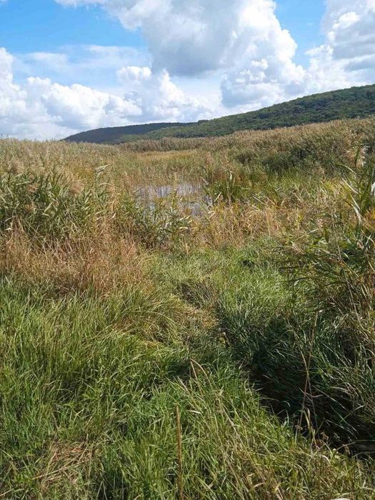 Продаж земельної ділянки неподалік від Івано-Франківська_N