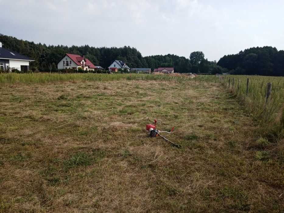 Prace ogrodowe/koszenie w dobrej cenie