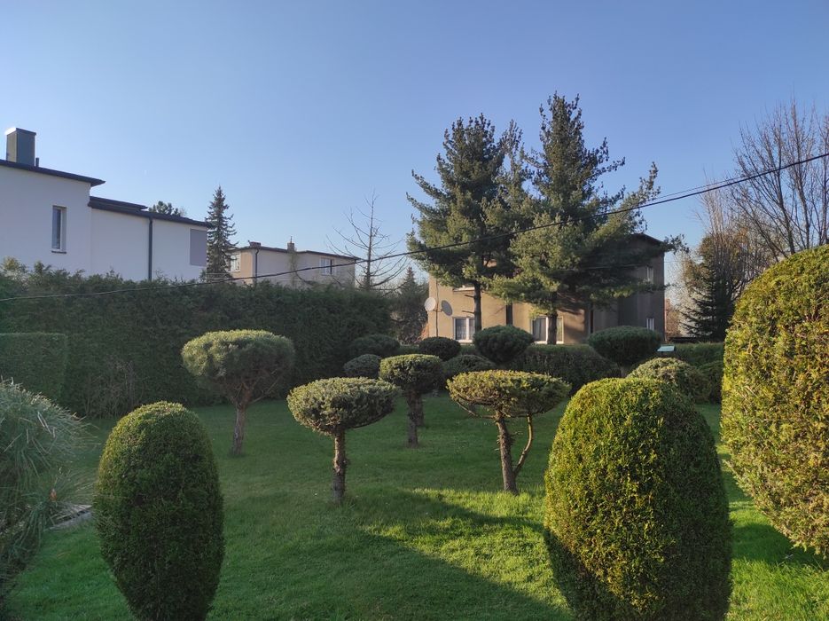 Wycinka i przycinanie  drzew-tui- krzewów, koszenie, równanie terenu