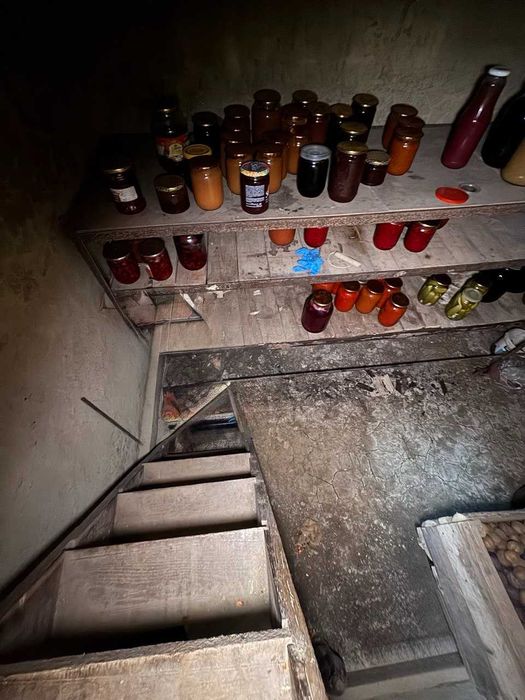 Продаж двох будинків з великою земельною ділянкою у центрі Тлумача