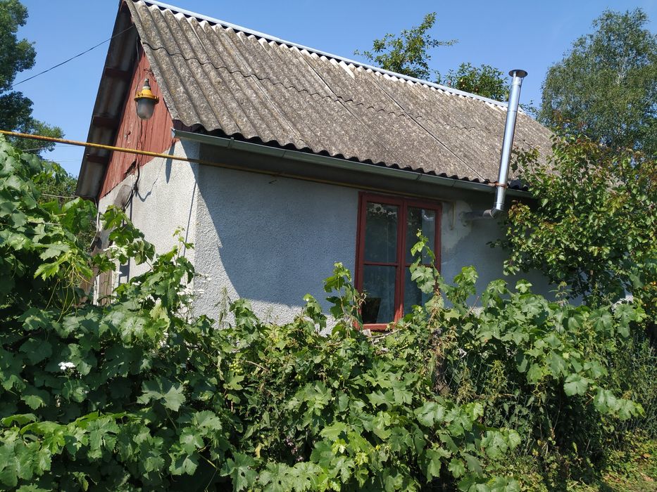 квартира з літньою кухнею