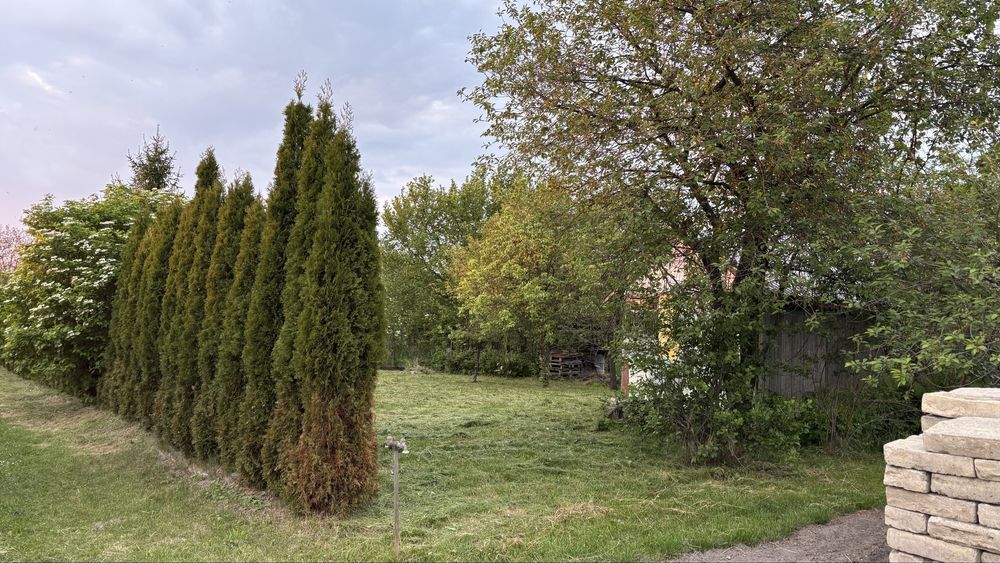 Ogrodek Dzialkowy Rod - Widok 2