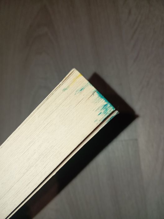 Książka "Dzienniki Nikki. To nie moja bajka!" Rachel Renée Russell