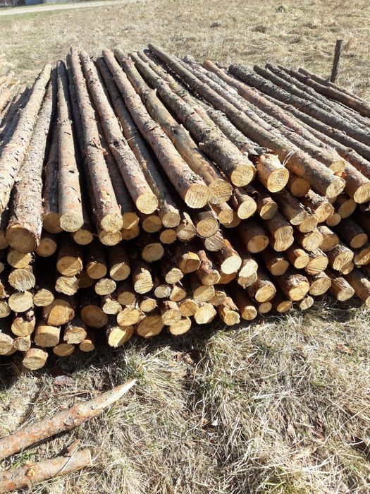 Stemple budowlane,słupki ogrodzeniowe 3 metrowe