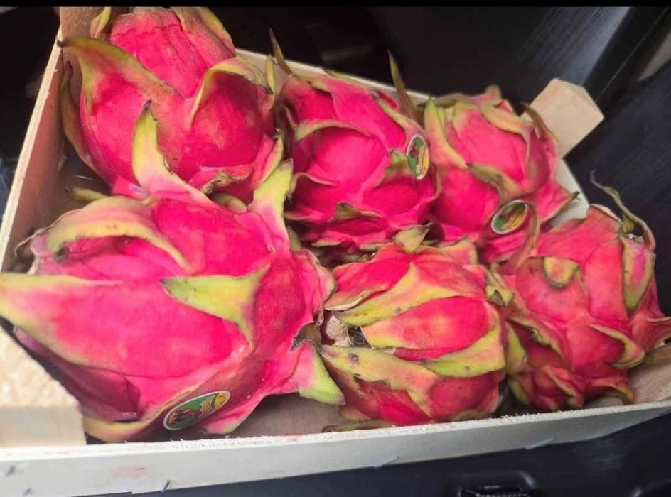 Caixas de pitaya docinha para entregas