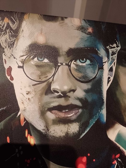 Nadruk na płótnie Harry Potter