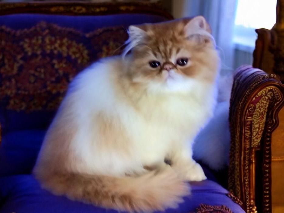 Очень нежная девочка