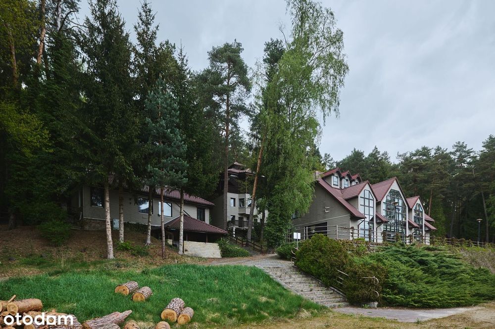 Zdjęcie 6