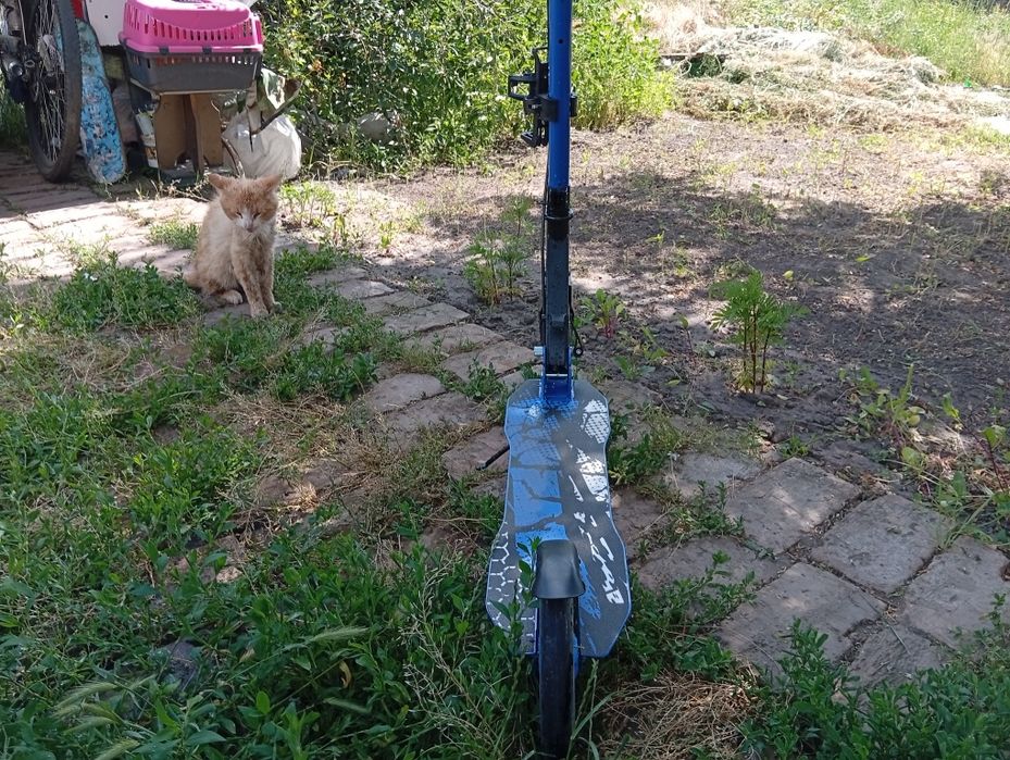 Самокат дитячий.