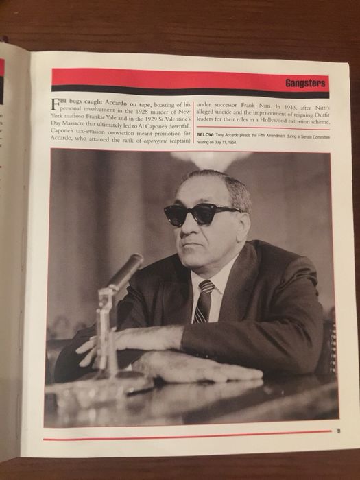 Gangsters the law of the jungle