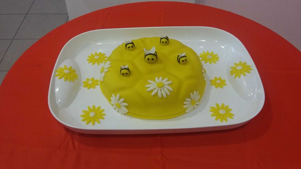 Tupperware Forma silicone