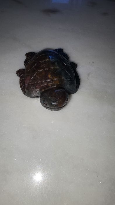 Ocean Jasper tartaruga