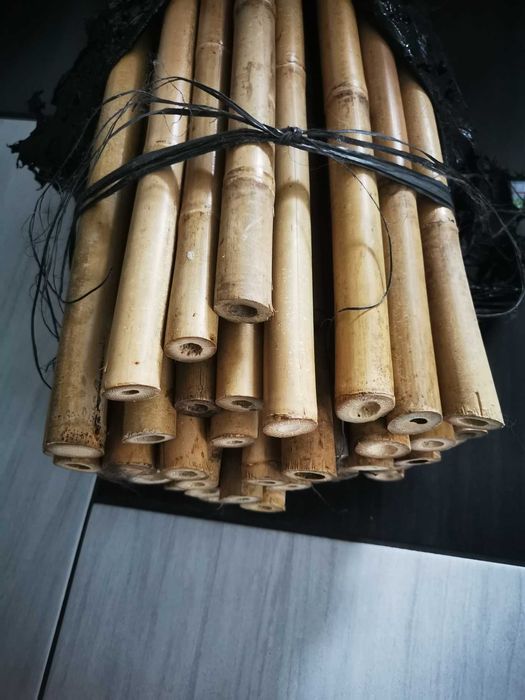 Tyczka bambusowa 240 cm 22/24mm