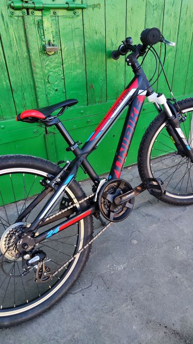 Rower Unibike Raptor 24 cale , rama 11 "