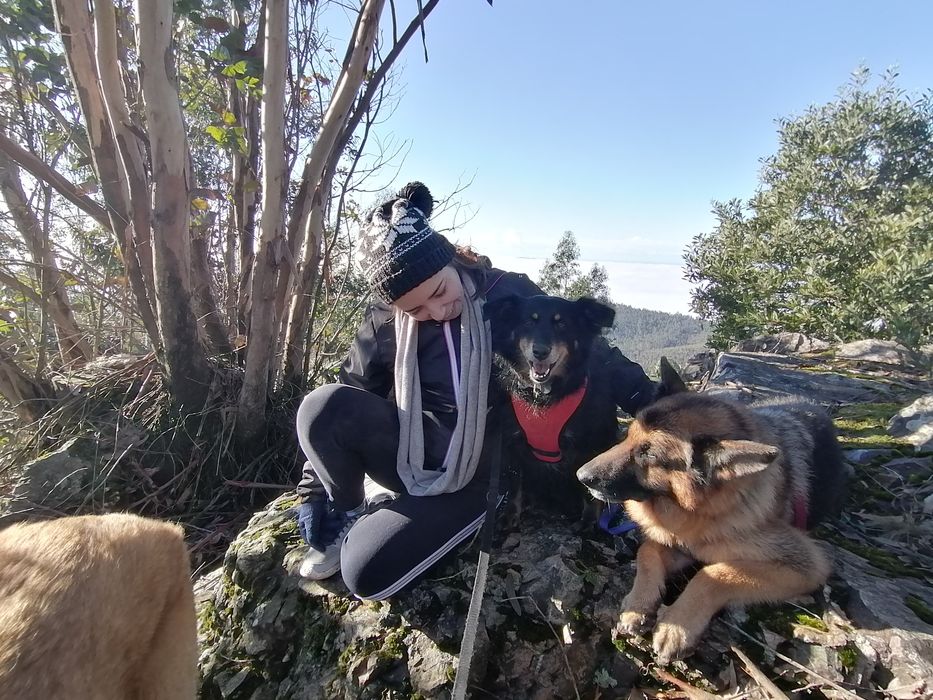 Petsitting doméstico