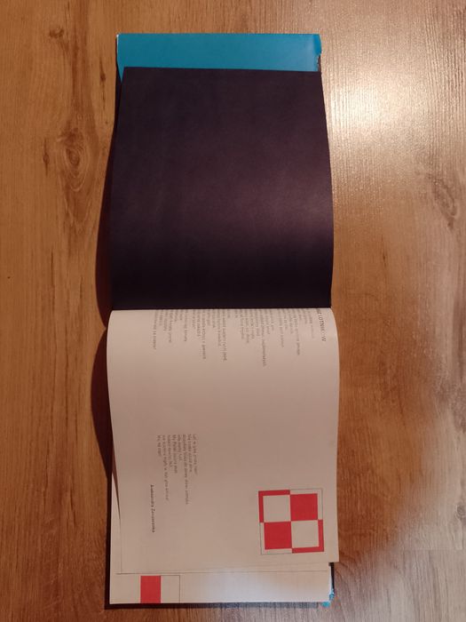 Wizerunek polskich skrzydeł