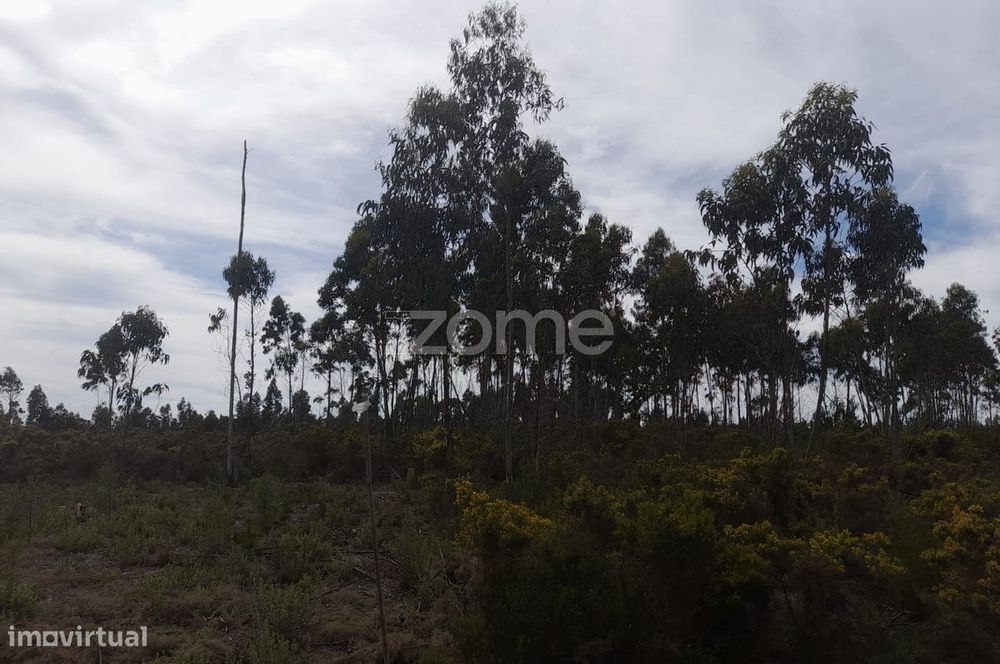 Terreno Rustico com 12580m2