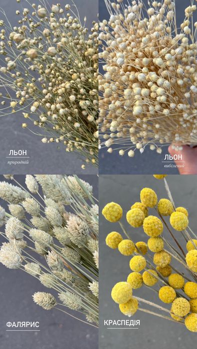 Дідухи. Набір для дідухів. Злаки та сухоцвіти для дідухів