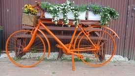 Piękny Kwietnik - rower w kolorze pomarańczowym