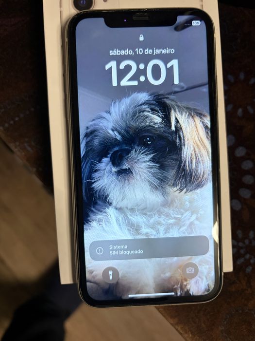 Iphone 11 64Gb usado desbloqueado