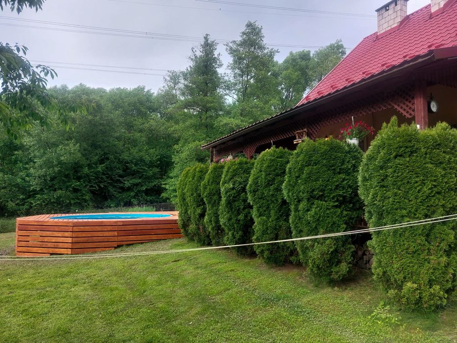 Domek do wynajęcia - Zygmuntówka w lesie!