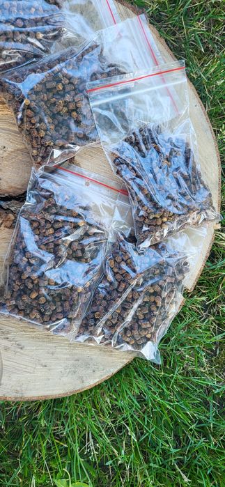 Pierzga Pszczela 100 gram