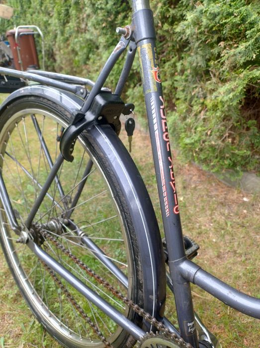 Damka Holenderka 28"