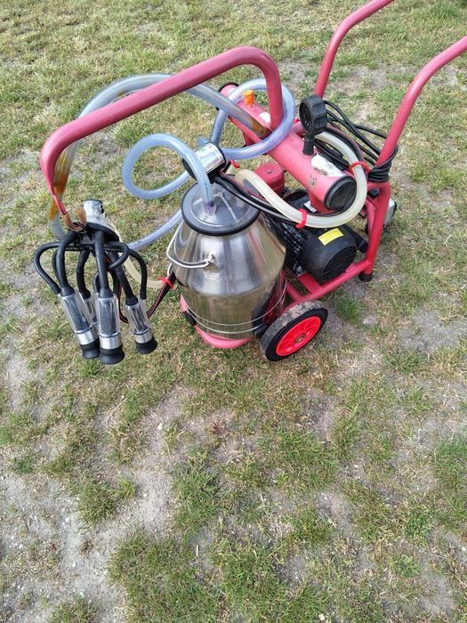 Dojarka mobilna dla krów Melasty