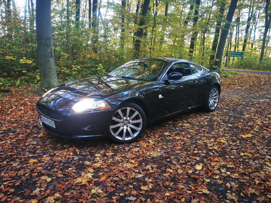 Jaguar XK