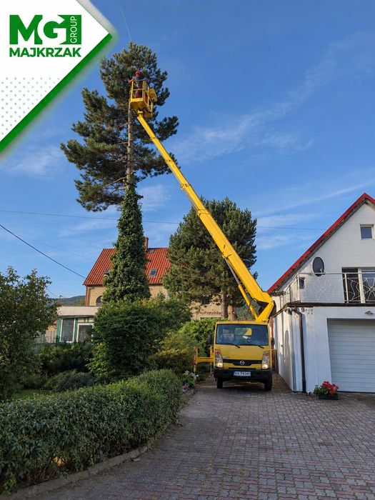 Wycinka drzew | Alpinistyczna wycinka drzew | Usuwanie drzew trudnych |Usuwanie drzew z działki | Dzierżoniów, Ząbkowice, Wałbrzych, Świdnica, Bielawa
