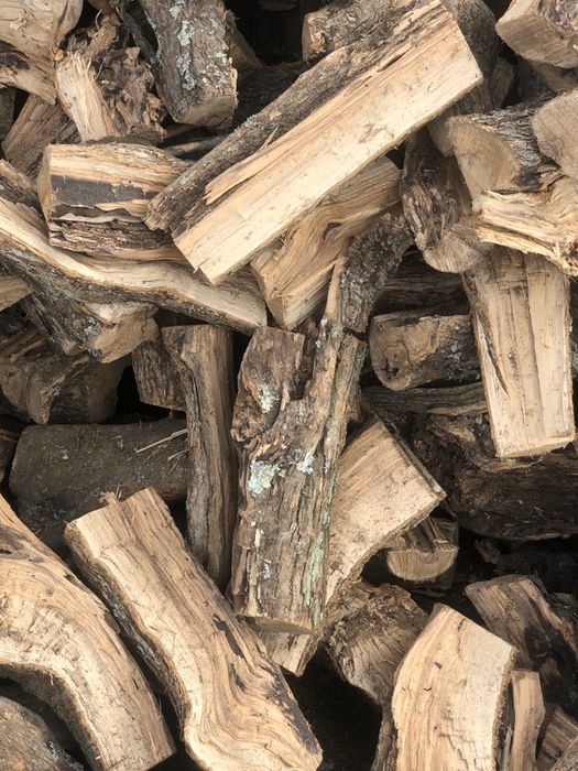 Lenha Oliveira, seca excelente