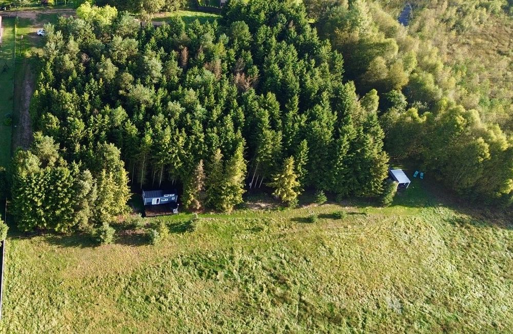 Romantyczny domek w lesie na wynajem / Prywatna balia/ Bory Tucholskie