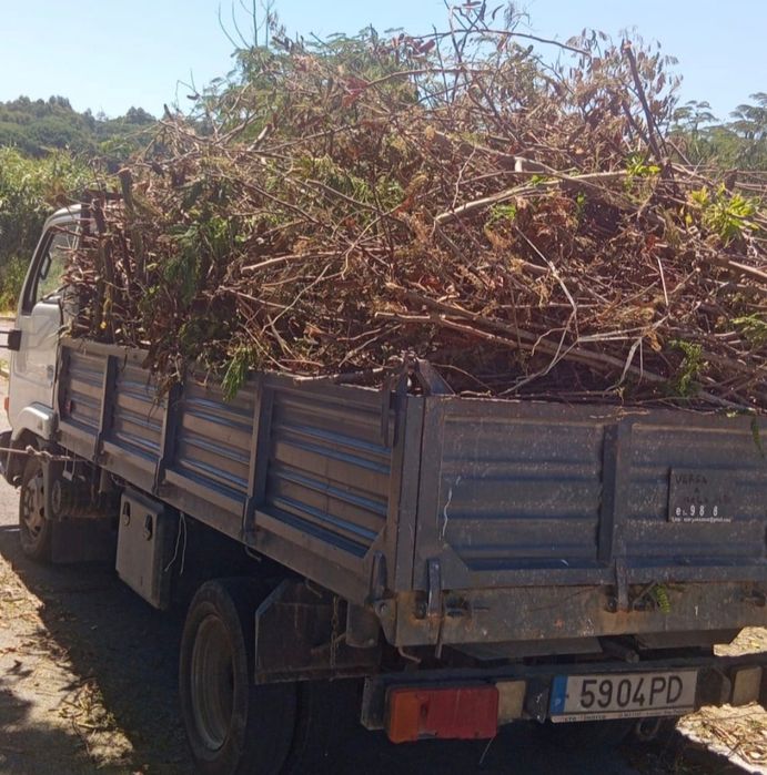 CONTENTORES e CARRINHAS com ou sem ajudantes p/carregar resíduos urbanos industriais florestais jardinagem entulho de obras lixo misturado e separado