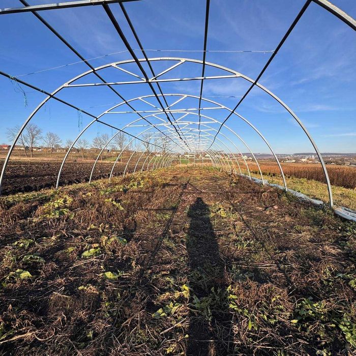 Продається домогосподарство у селі Вільшаниця (Івано-Франківська обл.)
