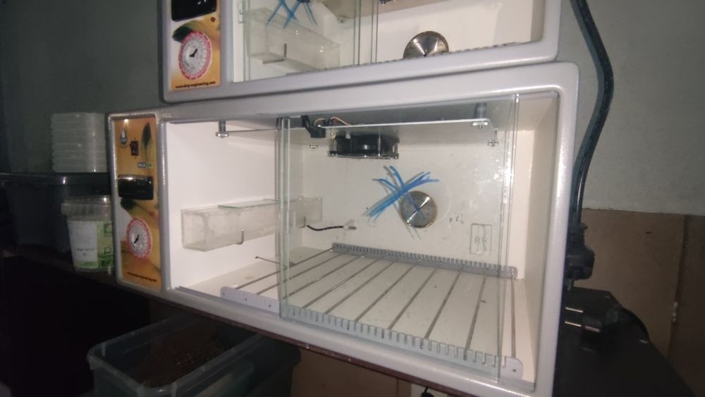 Incubadora Inca 200 para ovos de aves

Tecnologia de ponta para criaçã