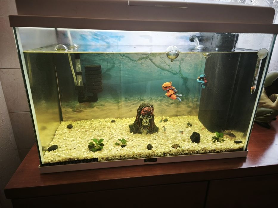 Aquário Aquatlantis